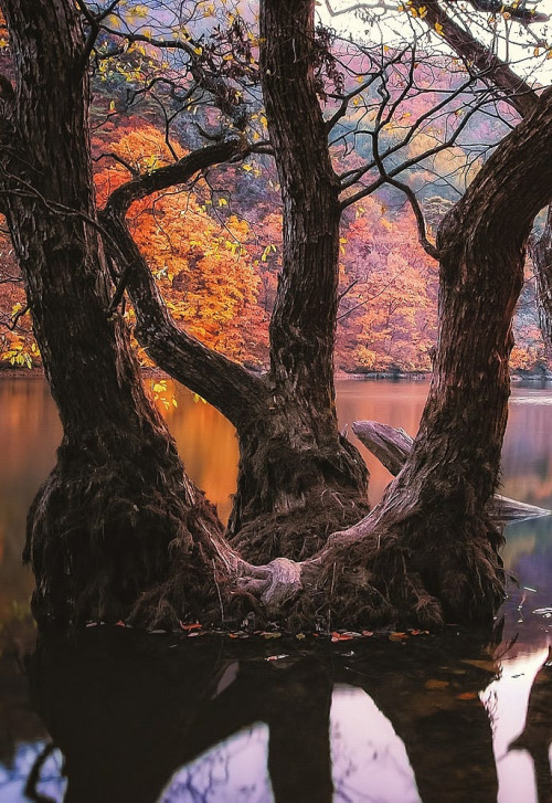 coiour-my-world:Reflection ~ Jaewoon U
