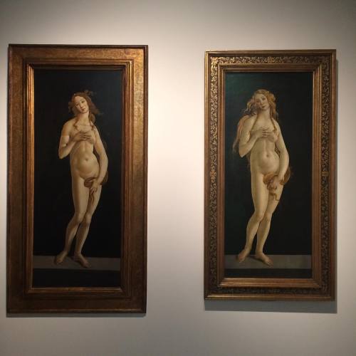 artmastered:Botticelli painted these two beautiful studies of Venus in the 1490s, about a decade aft