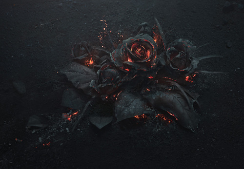 Porn Pics itscolossal:  A Smoldering Bouquet of Roses