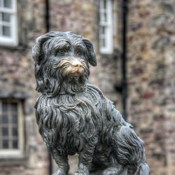feytouched:don&rsquo;t talk to me i&rsquo;m thinking about dog statues turned