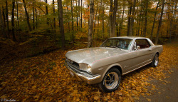 ford-mustang-generation:  Old Sally by Ryan Gardiner on Flickr.