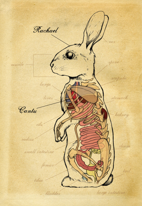 redlipstickresurrected: Heather Tompkins aka Heather A Tompkins (American, based San Francisco, CA, 