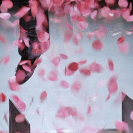 c1d96e4716ffe2cc89671067a68265a20c2dfaee.gifv