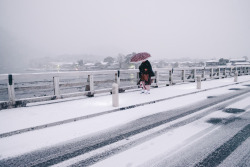 takashiyasui:  2016/01/20 snow snow snow!