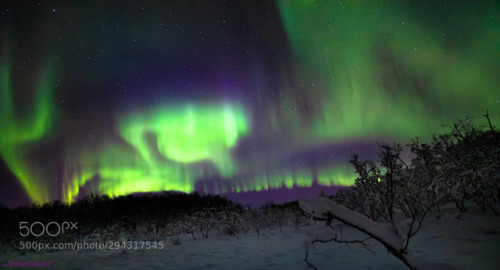 Aurora poles by JensMartinHansen