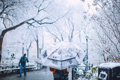 melodyandviolence:  NYC Snow Days by   Jose Tutiven   