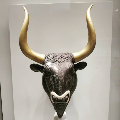 arthistoryfeed:Bull’s head rhyton from the palace at Knossos, 1550-1500 B.C.E. This was used for rit