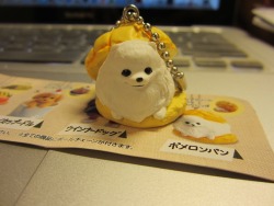 rinicake:  「ポメロンパン」 “Pomeronpan”, I got this from a gatchapon machine. It’s a play on the words “pomeranian” and “melon pan,” which is a japanese pastry. Whoever thought of this is an evil genius.. 