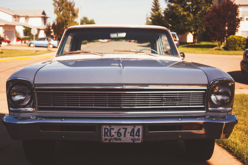 thisherelight:  1966 Chevy II / crossfield / alberta / i.m. ruzz even gutless wonders become stars if you wait long enough.