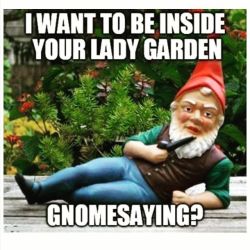 daily-meme:  Gnomehttp://daily-meme.tumblr.com/ 