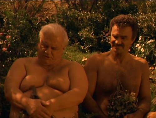  Evening Shade (TV Series) ’Three Naked Men: Part 2,’ S2/E2 (1991), Stripped of their dignity, Wood,