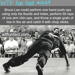 wtf-fun-factss:  some amazing information