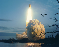al-grave:  Space Shuttle Columbia