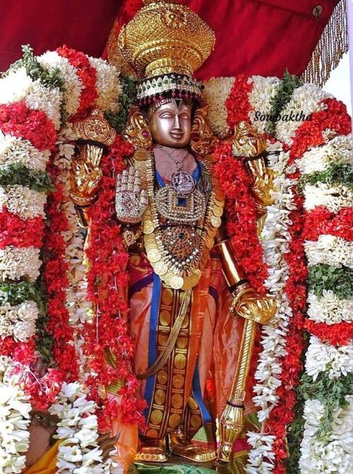 Mylapore Madhava Perumal Masimagam Arputha Sevai , photo by Sowbaktha