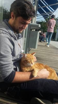 catsbeaversandducks: Cat Comes to University Every Day So She Can Rescue Students with Cuddles For years, the University of Augsburg in Bavaria, southern Germany, has played host to a very special visitor: a little ginger cat whose only mission is to