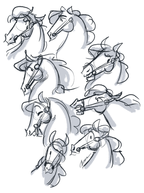 some horsey heads