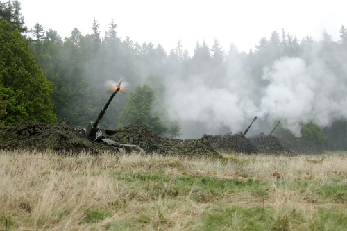 celer-et-audax:The British Army’s Artillery.