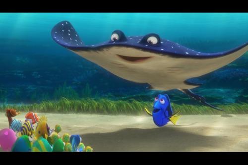 Finding Dory stills.