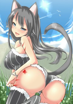 Sexy catgirls and stuff