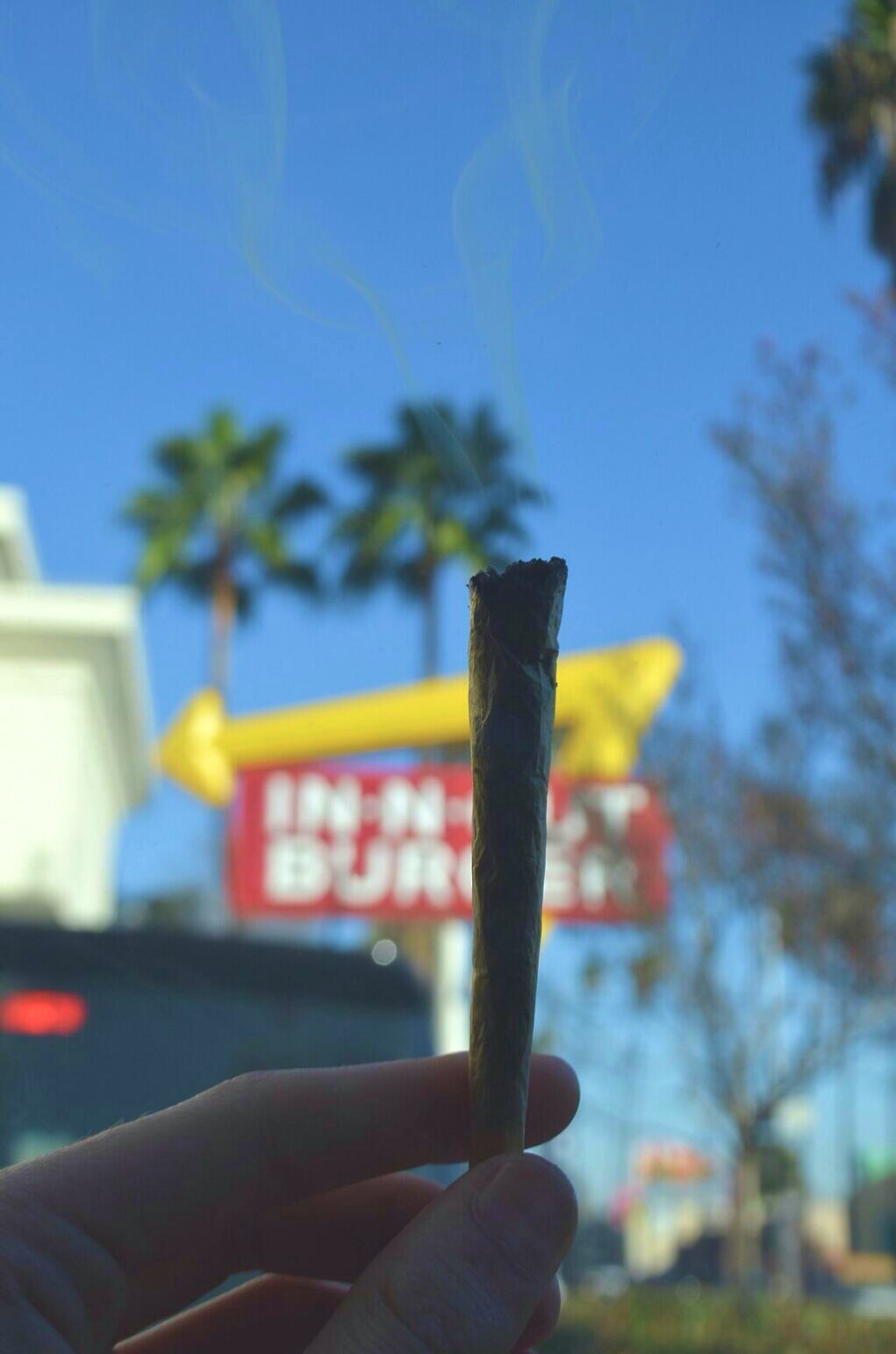 reddlr-trees:  California in one picture