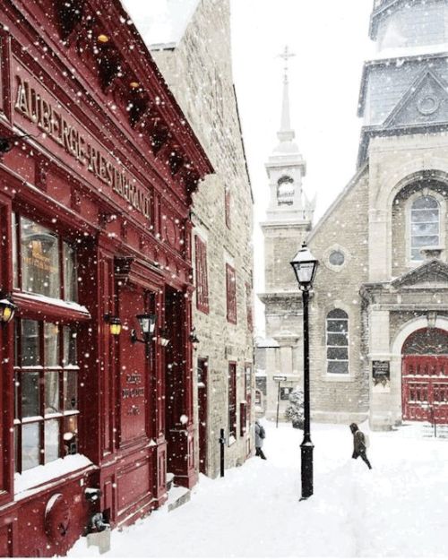 ars-aesthetica: Gryffindor Christmas