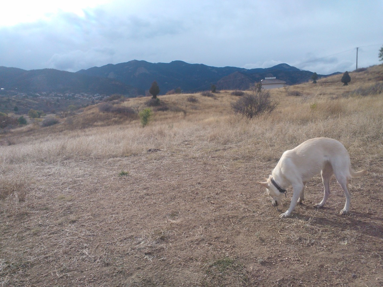 What better way to end the weekend than by taking your dog to the dog park?