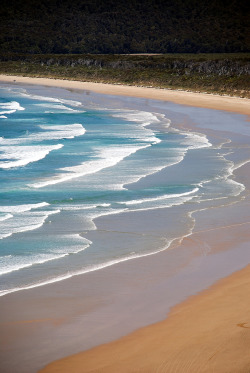 breathtakingdestinations:  Tautuku Peninsula - New Zealand (von geoftheref)