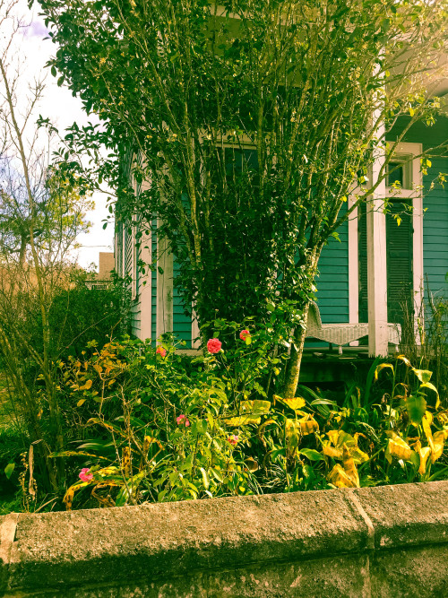 The Mysterious House in Carrollton. New Orleans, Louisiana. 2016.・For optimal photo quality, view th