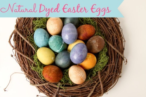 DIY Natural Dyed Easter Eggs✖✖✖✖✖✖✖✖sew-much-to-do: a visual collection of sewing tutorials/patterns