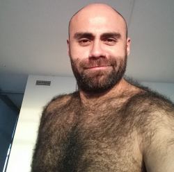 Hairy Men Heaven