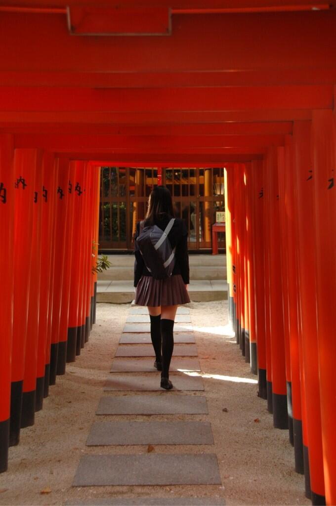 shiroino