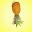 atomicpineapples