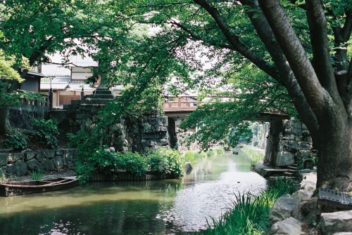 zyu10:  Omi-Hachiman, Japan, 2015 