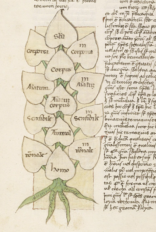 Here’s a colorful illustration of a Porphyrian tree from fol. 7v of LJS 457. How it works is that yo
