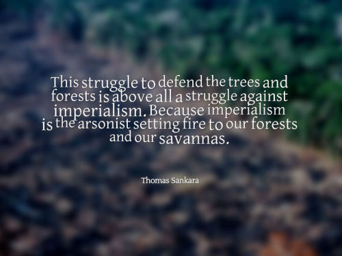 revolutionary-aim: Explained in this way, our struggle for the trees and for forests is first and fo