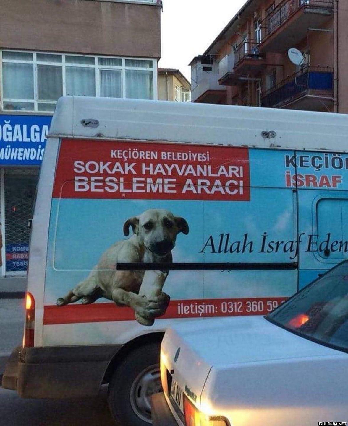 anlamsız fotoğraflar 0827 ...