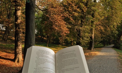 books-and-cookies: Hello autumn, my old friend 