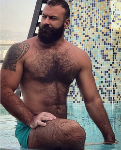 Hairy on Holiday