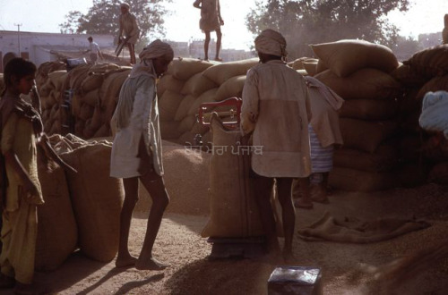 Workers at a Grain Market in Punjab, India 1973