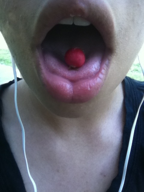 meadownymph:berry I found/ berry I found/ cigarette I was smoking because berries tasted bad. 