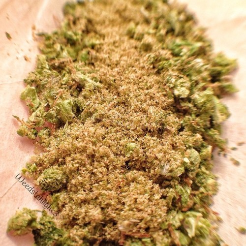 weedporndaily:  Wakenbake 