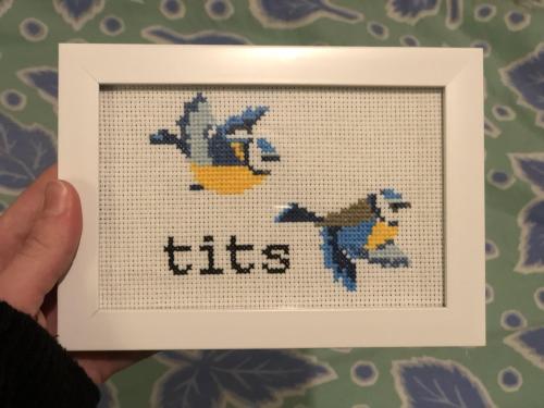 crossstitchworld: Gift for my mum, who loves to point out “There are tits in the garden!&rdquo