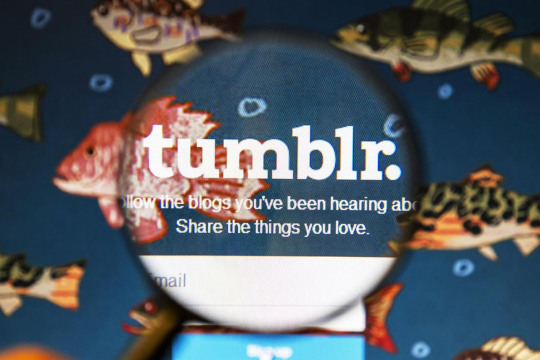 Tumblr media