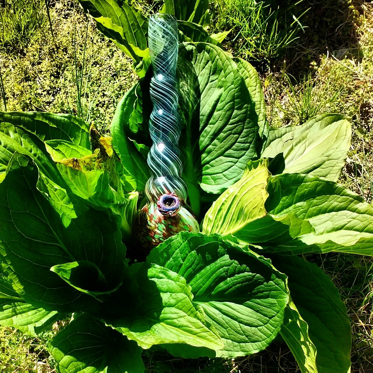 stoner-vogue:  stumbled across a bong garden