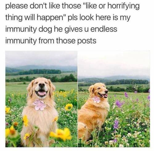 swampwulf: unsettlingstories: Even I need to contribute positivity sometimes. Bonus: you have WON th