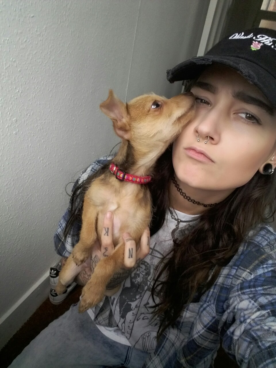 cooperrose:  lil chino 