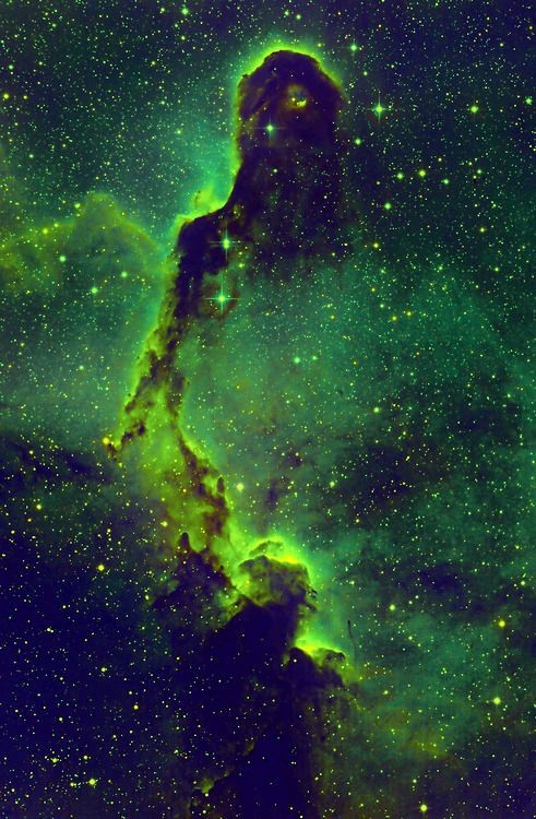 newssciencedaily:The Elephant’s Trunk nebula is a concentration of interstellar gas and dust w