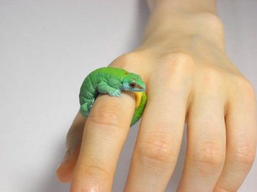 urone:Mesmerizing Handmade Animal Rings by Jiro Miura - The Wondrous