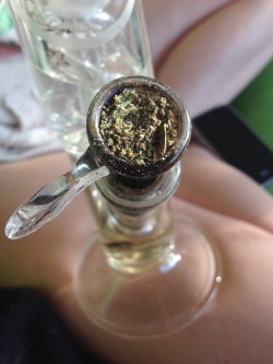 thc-kittyy:  animal cookie weed topped with