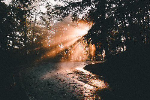 foresity:  Solar explosion (by ikhals)